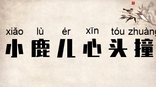 小鹿儿心头撞