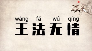 王法无情