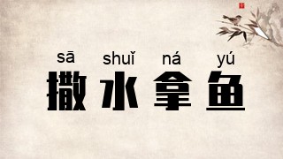 撒水拿鱼