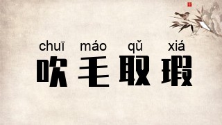 吹毛取瑕