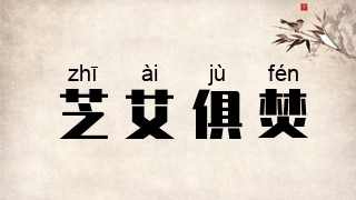 芝艾俱焚