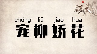 宠柳娇花