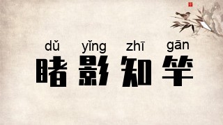 睹影知竿