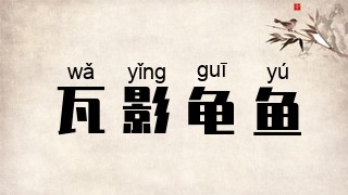 瓦影龟鱼