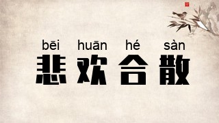悲欢合散