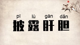 披露肝胆
