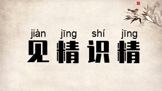 见精识精