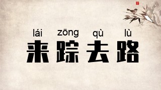 来踪去路