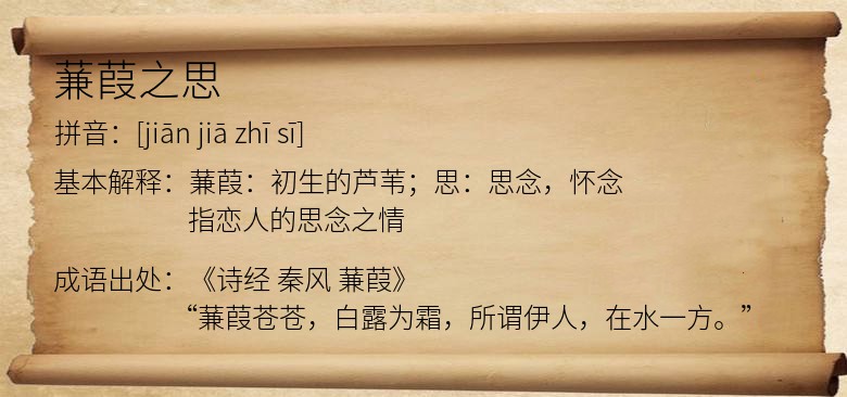 蒹葭之思