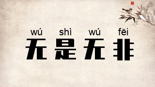 无是无非