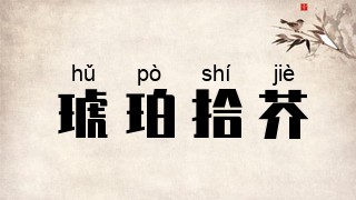 琥珀拾芥