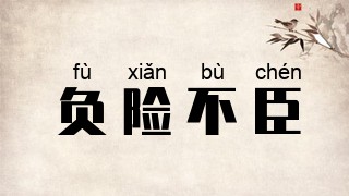 负险不臣