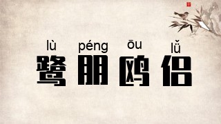 鹭朋鸥侣