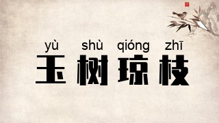 玉树琼枝