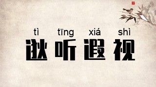 逖听遐视