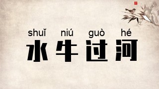 水牛过河