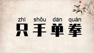 只手单拳