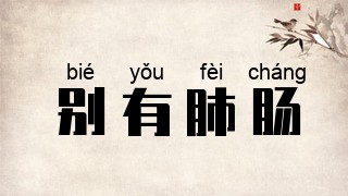 别有肺肠