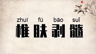 椎肤剥髓