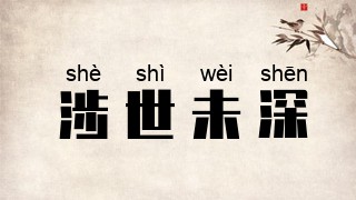 涉世未深