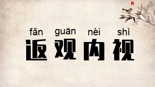 返观内视
