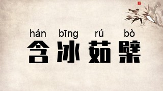 含冰茹檗