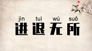 进退无所