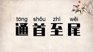 通首至尾