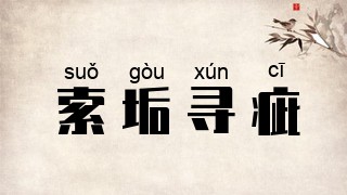 索垢寻疵