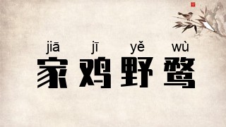 家鸡野鹜