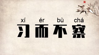 习而不察