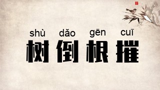 树倒根摧
