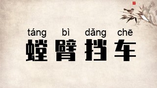 螳臂挡车