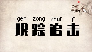 跟踪追击