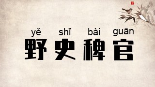 野史稗官