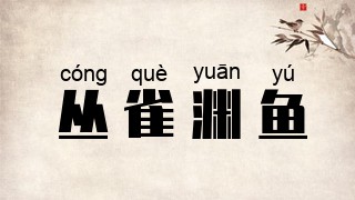丛雀渊鱼
