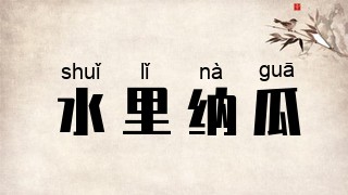 水里纳瓜