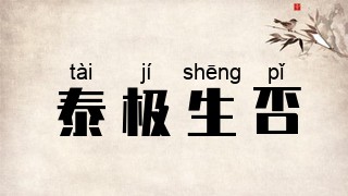 泰极生否