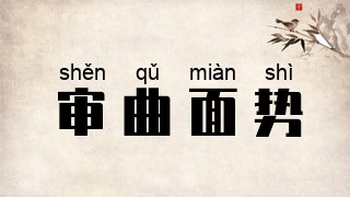审曲面势