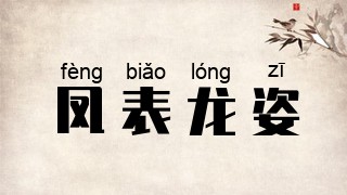 凤表龙姿