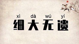 细大无遗