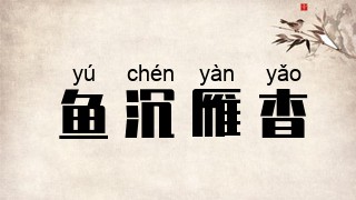 鱼沉雁杳