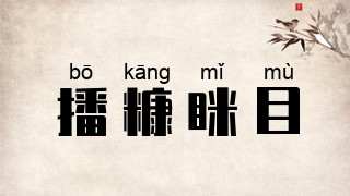 播糠眯目