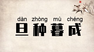 旦种暮成