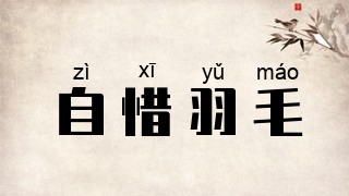 自惜羽毛