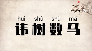 讳树数马