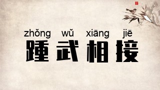 踵武相接