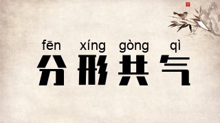 分形共气