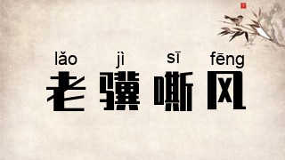 老骥嘶风
