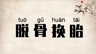 脱骨换胎